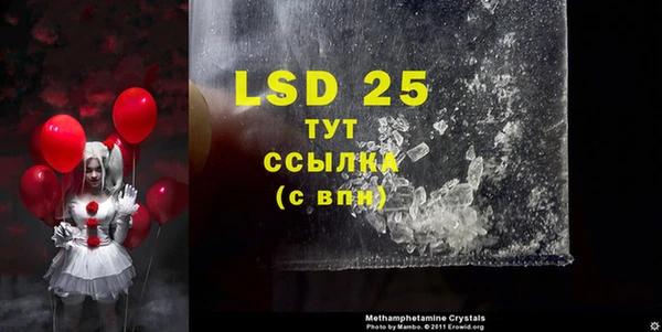 mdma Бородино